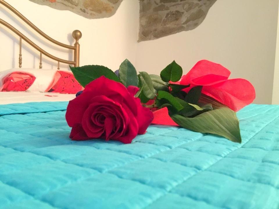 Viola Apartment 피옴비노 외부 사진